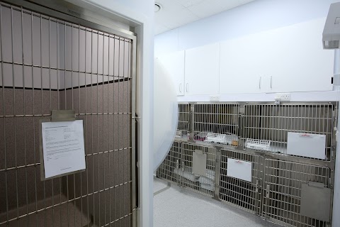 Vets4Pets - Harrogate New Park