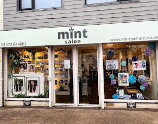 Mint Salon