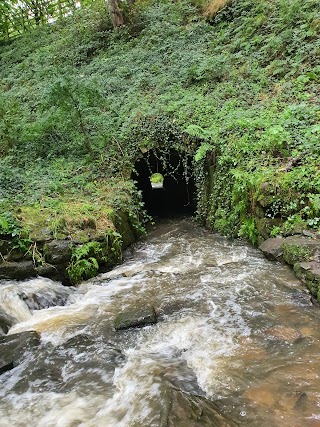 Folly Dolly Falls