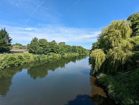 Bute Park