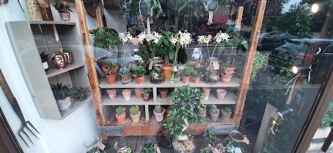 The Flower Shop