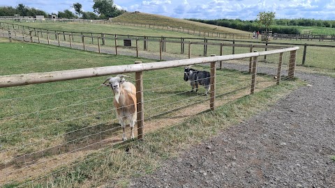 National Forest Adventure Farm