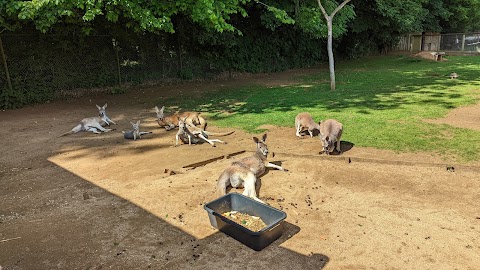 Heythrop Zoological Gardens