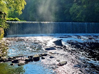 Cramond Falls