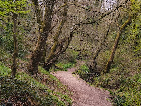 Cotwall End Local Nature Reserve