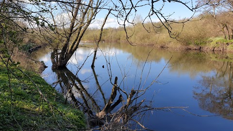 RSPB Baron’s Haugh