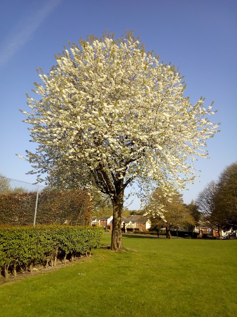 Delamere Park