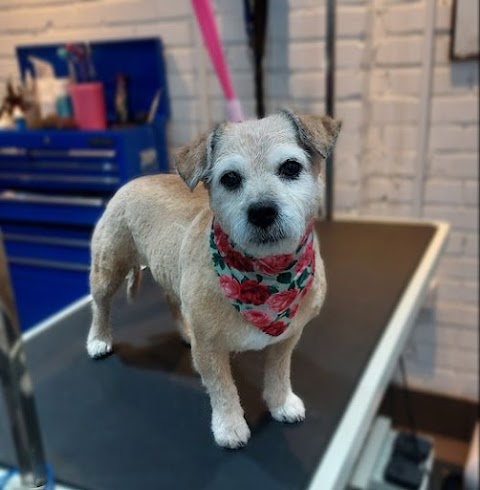 Mutz and Cutz Dog Grooming Studio Chester