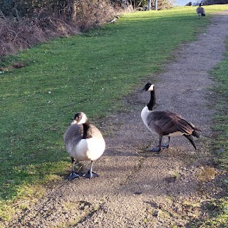 Mount Farm Park