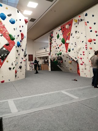 The Ballroom Climbing Wall