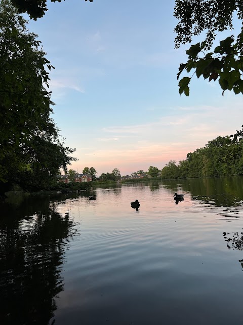 University of Reading