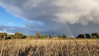 Chester Wetland Centre