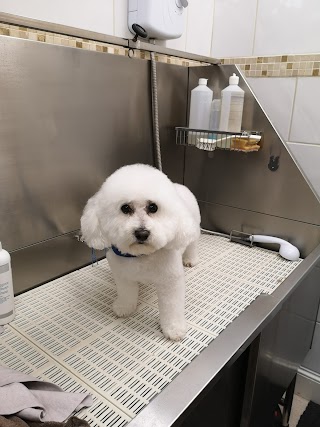 Laundro-Mutt Dog Grooming Salon