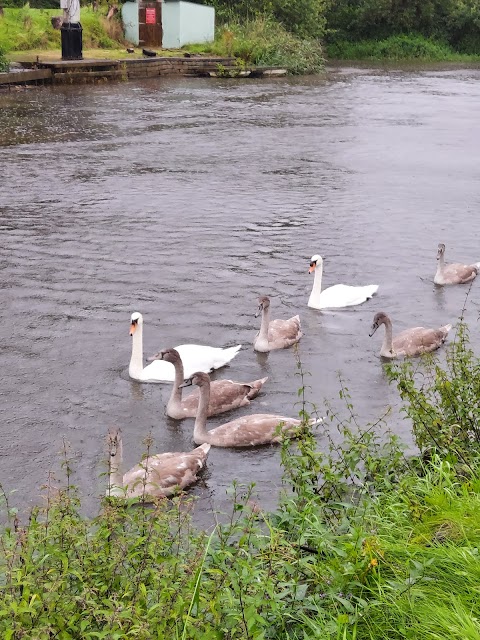 Six Mile Water Caravan Park