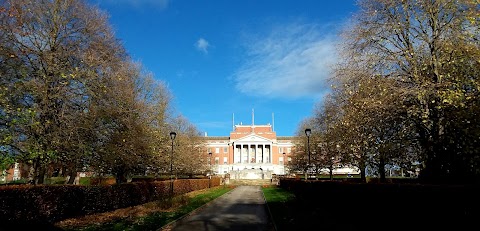 Coffee Shop & Ice Creams in the Park