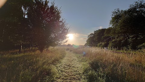 The Little Wild Wellie Campsite