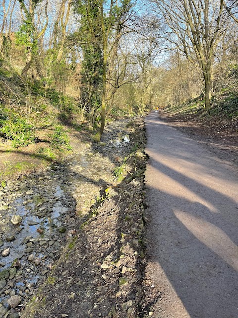 Badock's Wood