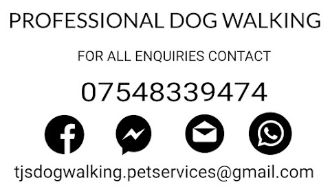 T.j's Dog Walking and Pet Services