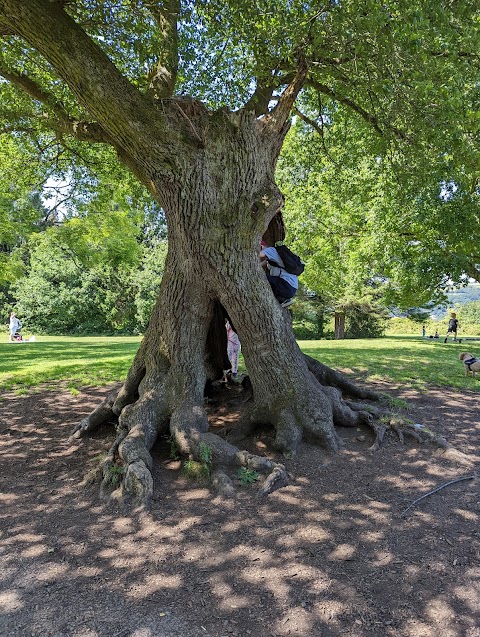 Gnoll Park