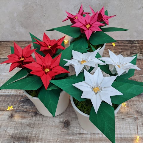 Origami Blooms