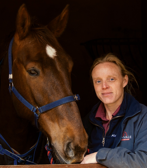 Avonvale Equine Veterinary Practice