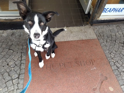 The Pet Shop Kilmarnock Ltd