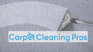 Carpet Cleaning Pros