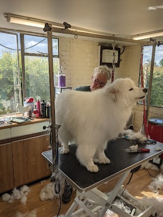 Adroit Professional Dog Grooming