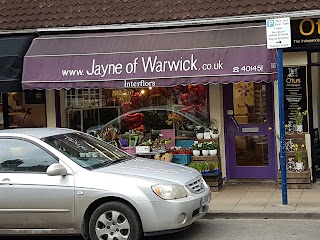 Jayne Of Warwick