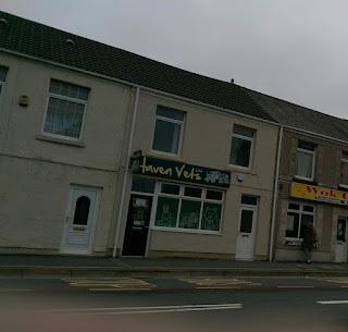 Haven Vets Ltd Morriston, Swansea