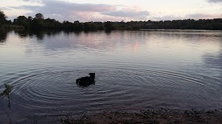 River Alyn