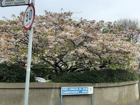 Technological University Dublin