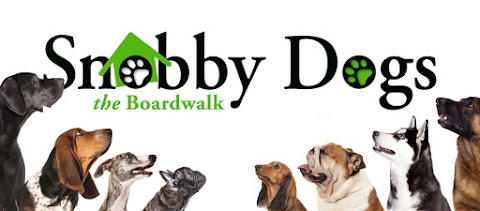 Snobby Dogs The Boardwalk