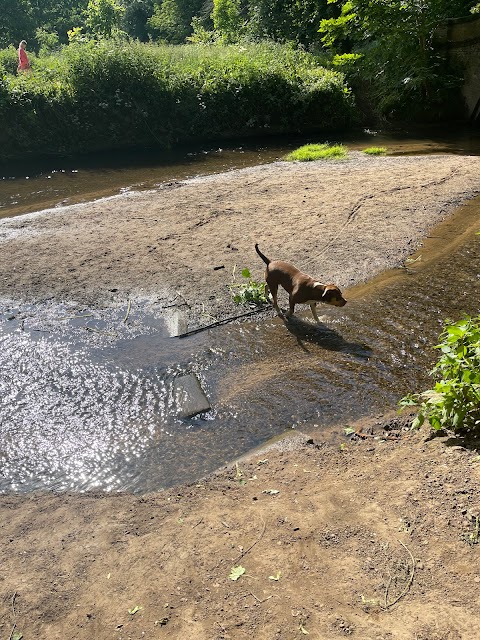 Styal Park Beach