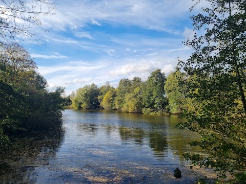 Ryton Pools Country Park