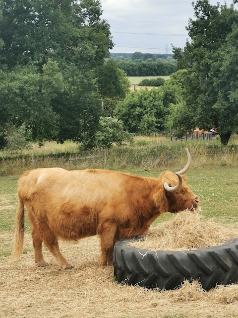 Lee Valley Animal Adventure Park