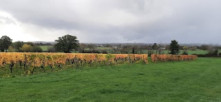 Halfpenny Green Vineyards