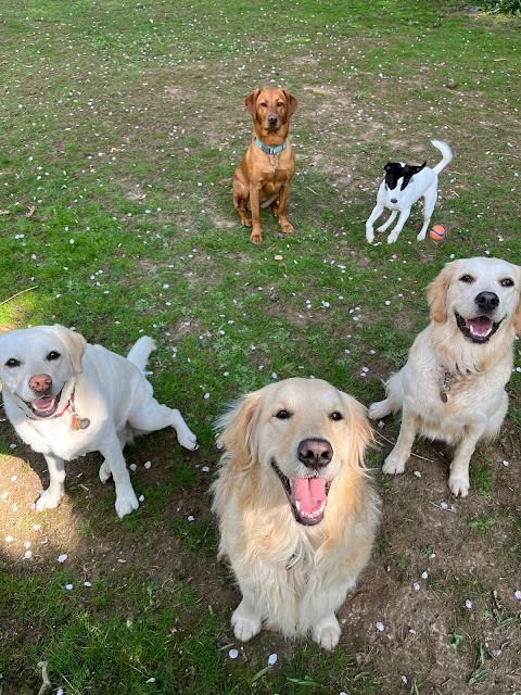 Caversham Canine Club