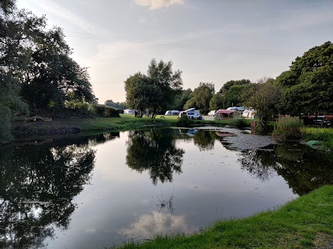 Shays Farm Campsite