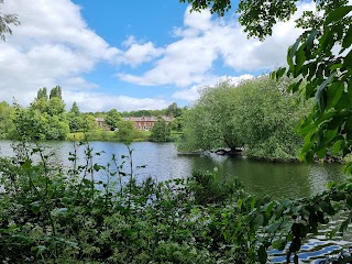 Brookvale Park