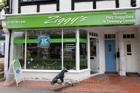 Ziggys Pet Supplies