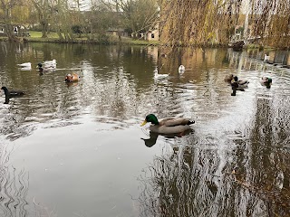 Campus Lake