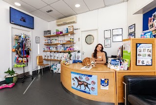 Village Vet Southgate