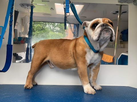 Barking Bath - Mobile Dog Groomer