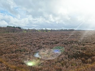 Langlands Moss Local Nature Reserve