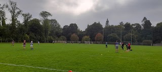 Naas GAA Club