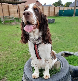 Happy Paws On Board