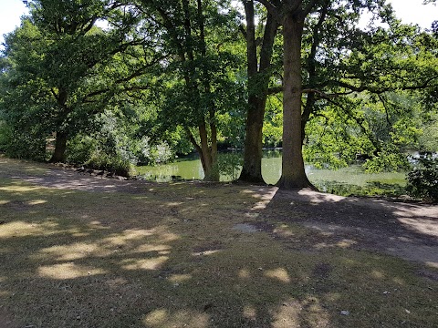 Caversham Park Pond