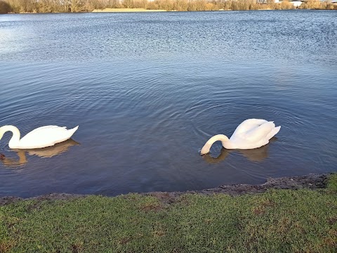 Nature Lake, Watermead Country Park