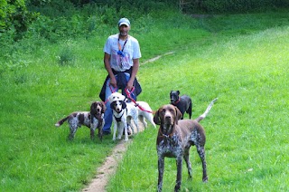 eWoof - dog daycare, dog boarding and dog walker